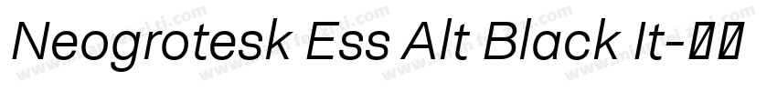 Neogrotesk Ess Alt Black It字体转换
